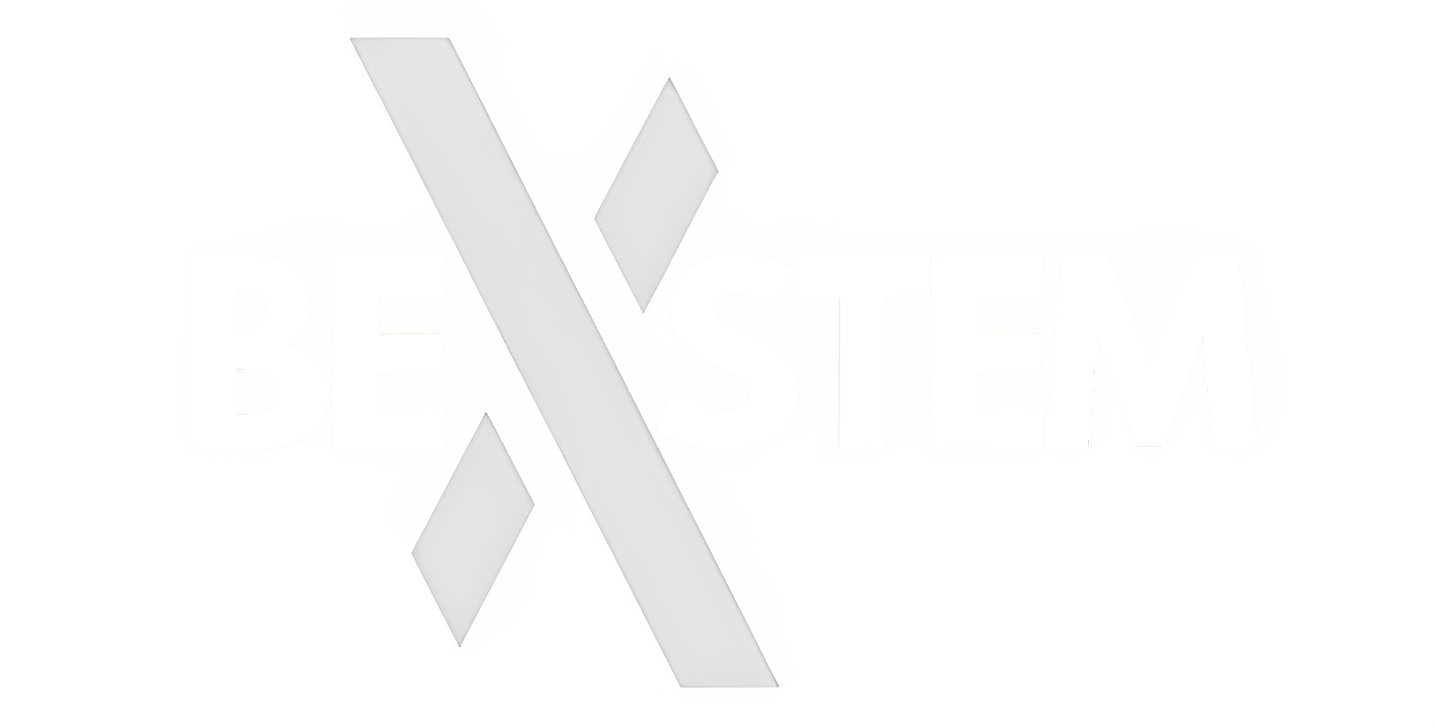 BExSTEM Monochrome Logo